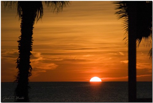 sea orange sun sol beach sunrise mar playa palm amanecer naranja palmera