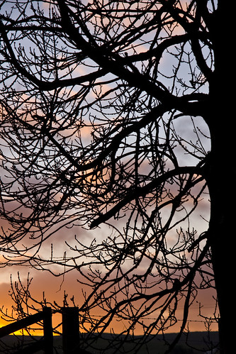 sunrise sigma northumberland 1770mm 40d eisdon lennythelens philipgevaux pgevaux