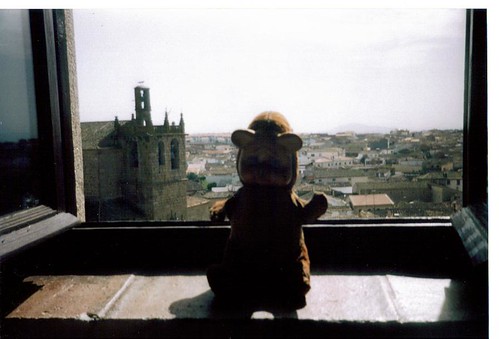 bear travel vacation church window spain sad view crying teddybear oropesa pouting leftbehind poutingbears