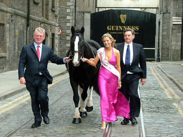 Launch of Ballinasloe horse fair
