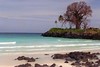 Comoros Beach: dream with baobab 48.471.07