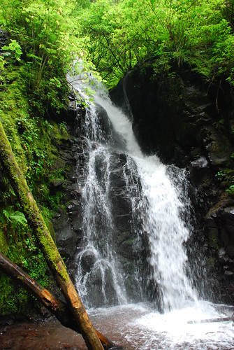 forest trekking mexico waterfall bosque sanrafael cascada tlalmanalco marianovosky