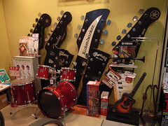 Beijing Hong Sheng Musical Instrument Shop