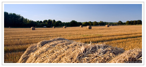blue panorama orange field yellow landscape wide straw balls paysage botte champ paille 41550