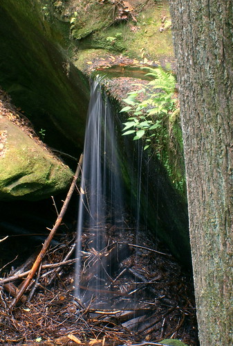 water waterfall alabama canyon fallingwater secretfalls dismalscanyon philcampbell 72hourchallenge alabadrock zip35581 alalto