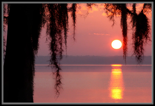 nature sunrise florida scenic newnanslake alachuacounty palmpointpark lakepithlachocco
