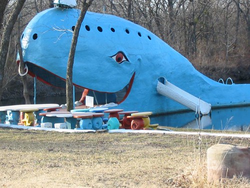 blue whale the catoosa