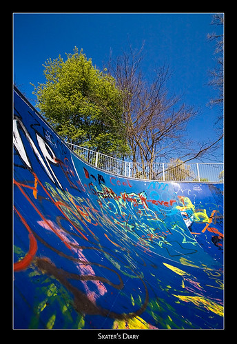 graffiti bowl half skater