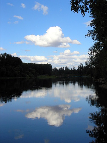 trees sky reflection nature water rio clouds oregon reflections river agua cielo nubes albany Árboles willamette