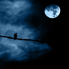 Noche de luna llena - Full moon night