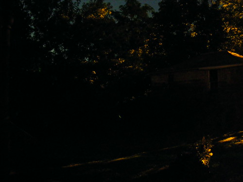 nature night outdoors fuji wildlife insects wv nighttime westvirginia technorati firefly fairmont s700 2007 fireflies fairmontwv s5700 shuttersparks