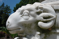 Ram's head detail, marble fountain