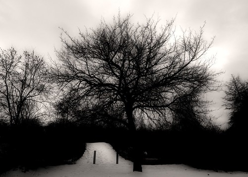 bridge winter bw snow tree mi wideangle trenton blackwhitephotos tiffendfx nikond300 alienskinexposure2 tokinaatx116prodxaf1116mmf28