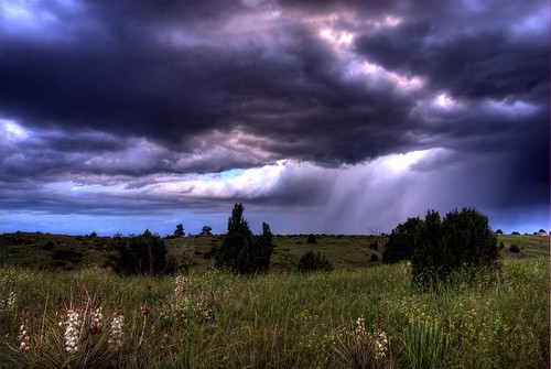 trees storm grass clouds landscape colorado wildflowers chatfield hdr yucca littleton photomatix 200602 anawesomeshot