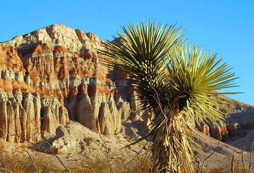 redrockcanyon california landscape desert joshuatree nikkor50mmf18d shotwithstevemendenhall