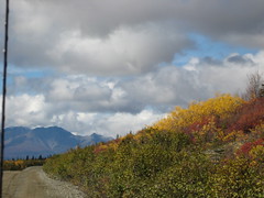 On the Denali Highway 