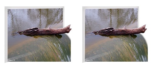 lake nature water photoshop outside outdoors effects stereoscopic 3d crosseye log md brian maryland manipulation ps falls stereo wallace stereopair spill fx sidebyside sfx outofbounds stereoscopy oof oob stereographic debri freeview crossview outofframe wyemills brianwallace xview stereoimage outofborder xeye stereopicture