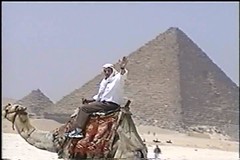 Dad riding a camel and the Piramids of Giza on the background
