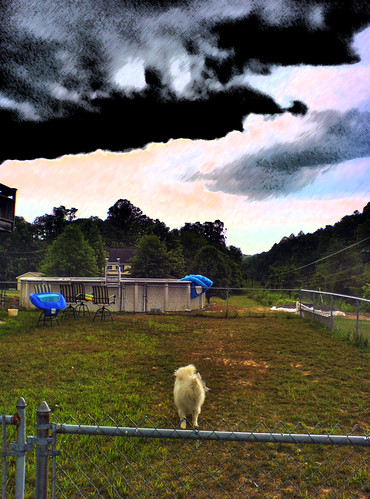 trees sky dog storm pool clouds photoshop edited hdr fense photomatix w810i