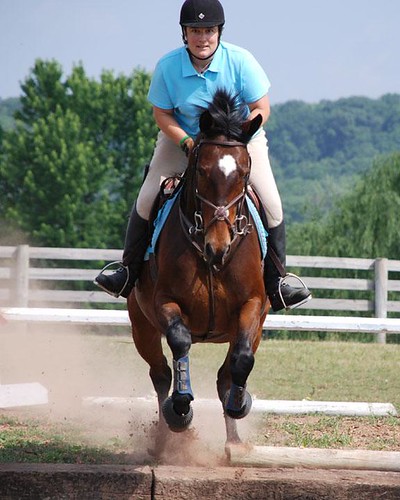 ridinglessons equestrian centralpennsylvania harvestviewstables