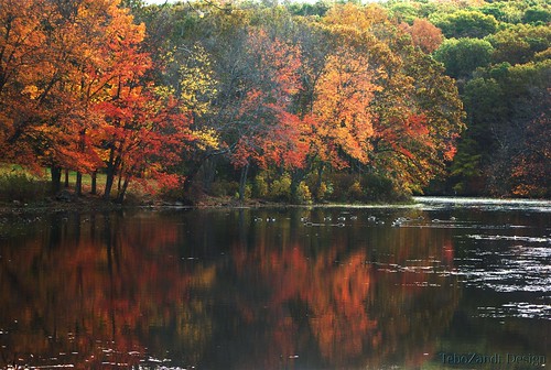 autumn trees reflection fall water geese pentax connecticut ct southfordfalls k200d