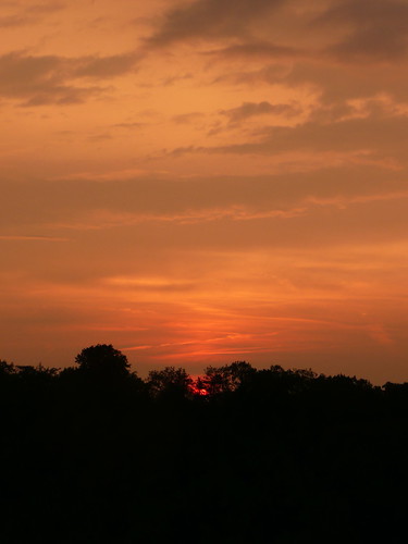 sunset rothenberg