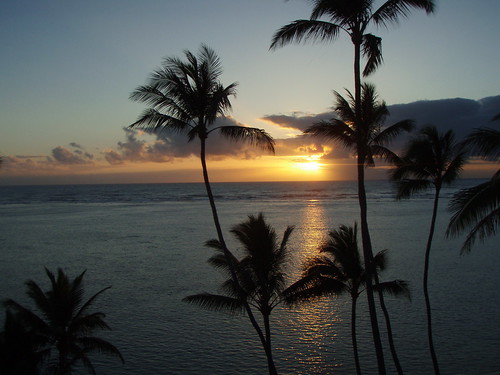 ocean sunrise hawaii oahu palmtree punaluu