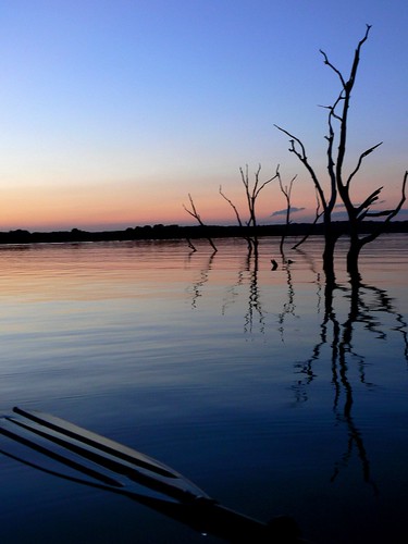blue trees sunset lake oklahoma landscape twilight scenic paddle explore paddling okmulgee naturesfinest drippingspringslake