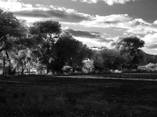 ranch trees clouds landscape ir lumix blackwhite nevada farming roadtrip 395 smithvalley pdpnw
