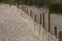 Sable de dune