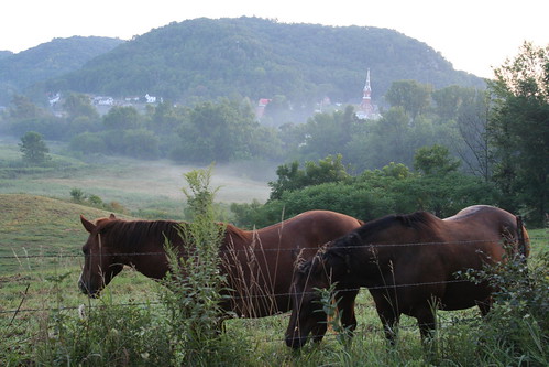 horses lansing iowa