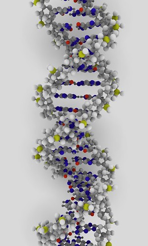 Actualidad Informática. ¿Cuánto ADN hay en la Tierra y cuánta información contiene? . Rafael Barzanallana