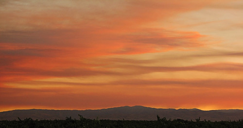 california pink light sunset cloud sun sunlight foothills yellow clouds gold vines day sundown hills end streaks vinyard vinyards