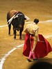 Spain Granada Bull Fight