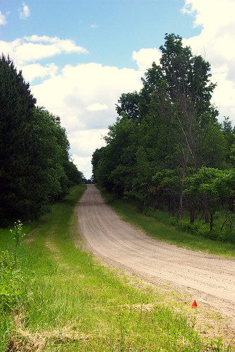 road landscape