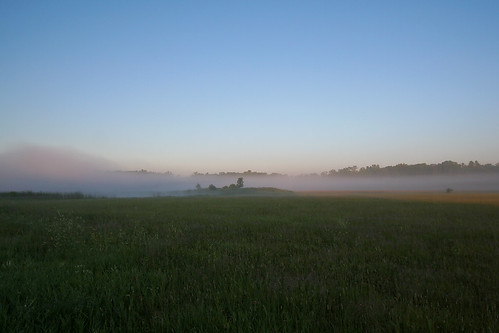 field minnesota fog littlefalls