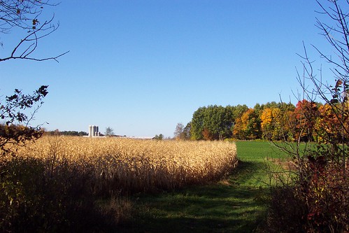 autumn fall wisconsin landscape farm country