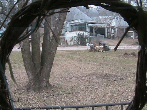 2005 winter tree home grass trash alley backyard january missouri sedalia southprospect