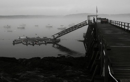 sunset sea heron fog canon island dawn maine l 24105l canonef24105mmf4lisusm hbppix