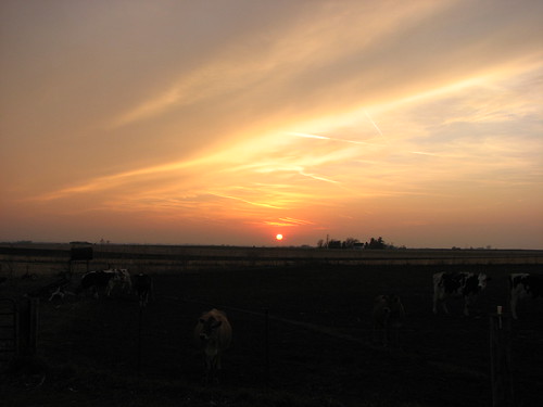 sunset wisconsin farm lancaster beetown