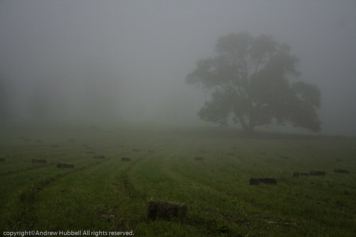 morning summer nature fog sunrise landscape flora haybails canoneos350 ridgefieldtownpasture ©andhuballrightsreserved