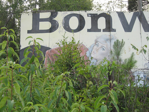 abandoned southcarolina billboard i85 blacksburg gaffney bonworth