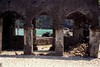 Comoros Moroni: mosque ruin 49.160.01