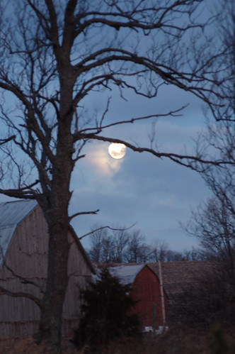 longexposure morning blue winter sky moon ontario canada tree night barn landscape fullmoon