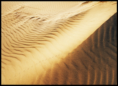 sand dune tracks danielcolvin