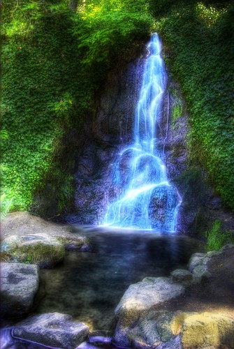 nature forest waterfall washington pacific northwest hdr burchdc