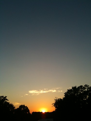 trees sunset sky usa cloud texas huntsville gradient heb