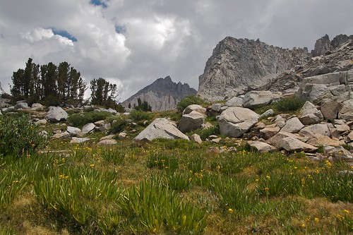 california usa landscape flickr hiking sierra backpacking wildflowers sierranevada kingscanyonnationalpark dusybasin mtagassiz wp2007 wolffpack2007 wp2007day6 wp2007slideshow