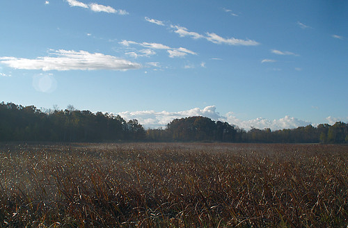 fall home fog frost swamp myfavorites munithmi