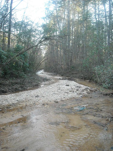 creek woods alabama winding